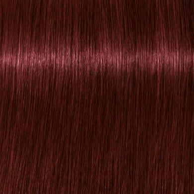 Igora Royal 10 Minute Color