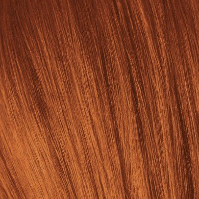 Igora Royal 10 Minute Color